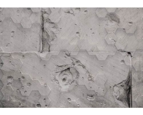 Lieveheersbeestjes in een natuurlijke omgeving op fotobehang.