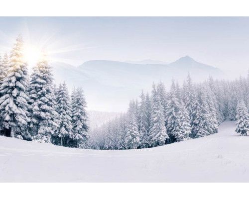 Fotobehang van een betoverend winterlandschap met besneeuwde bergen en bomen, en een helderblauwe lucht.