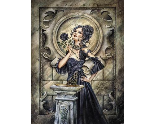 Fotobehang van een zwarte roos met alchemie thema, mysterieus en donker.