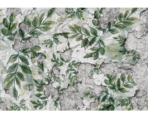 Fotobehang van bladeren op een betonnen muur, planten voor een natuurlijke touch.