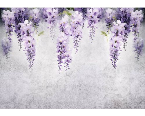 Blauweregen planten klimmen over een betonnen muur, afgebeeld op een kunstzinnig fotobehang.