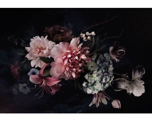 Boeket bloemen op een zwarte achtergrond met levendige kleuren en contrast, fotobehang dat elegantie en luxe uitstraalt.