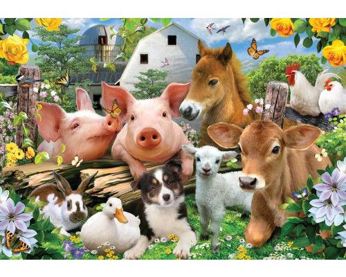 Boerderijdieren dolle beestenboel, grappig fotobehang met een speelse en vrolijke sfeer.