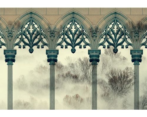 Fotobehang, Bomen Mist Kolommen