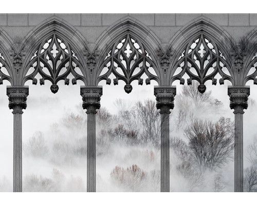 Fotobehang, Bomen Mistkolommen Zwart Wit