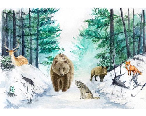 Fotobehang met bosdieren zoals een beer, hert, wolf en vos in een schilderachtige avontuurlijke omgeving. Een speels en charmant ontwerp.