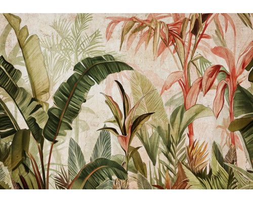 Fotobehang van botanische jungle bladeren op beton, in een natuurlijke en tropische setting.