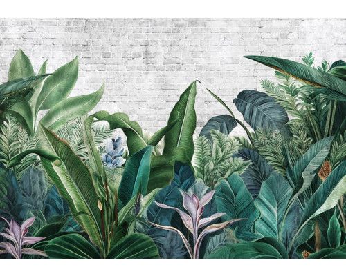 Fotobehang van botanische jungleplanten in een weelderige en tropische setting.