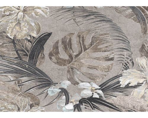 Fotobehang Botanisch Monochroom