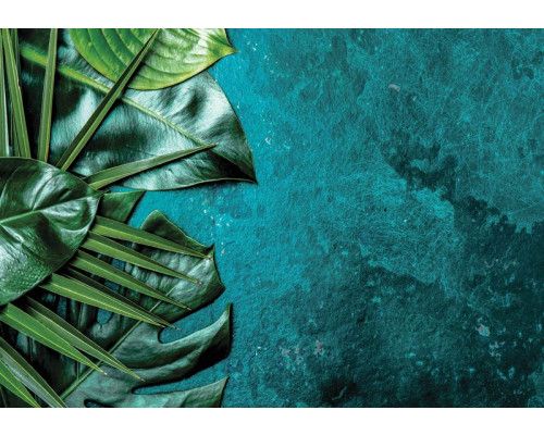 Fotobehang van botanische bladeren op een structuurglas-achtergrond.