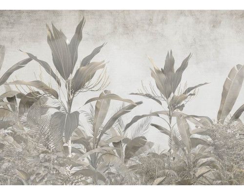 Fotobehang met een weelderige botanische jungle-afbeelding, vol groene tinten en levendige bladeren, perfect voor een natuurlijke en tropische uitstraling.