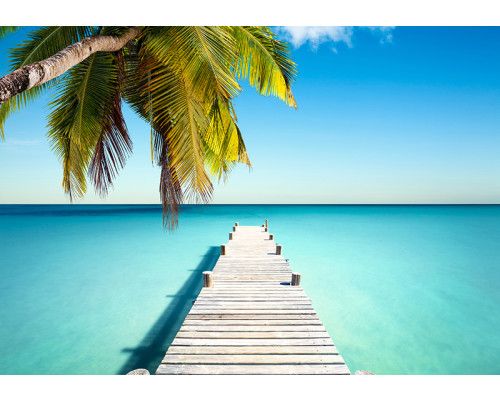 Fotobehang, Brug palmbomen strand zee