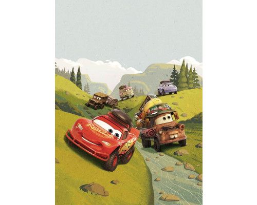 Fotobehang met een vrolijke kampeerscène van Disney's Cars, waarbij Lightning McQueen en Mater genieten van een kampeeravontuur in de natuur.