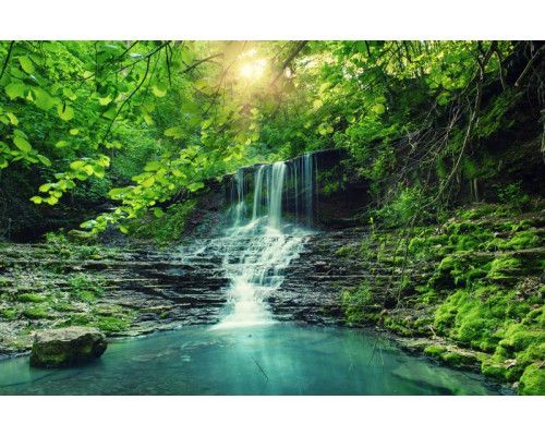 Fotobehang van een cascade waterval die door een bos en jungle stroomt, met dichte vegetatie en natuurlijke pracht.