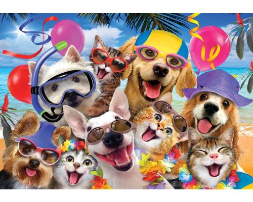 Katten en honden dolle beestenboel, grappig fotobehang met een speelse uitstraling voor kinderkamers.