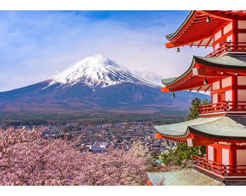Fotobehang met Chureito Pagode en Mount Fuji en een kersenbloesem in de lente, in Japan.