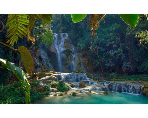 Fotobehang van de betoverende Kuang Si-waterval in Laos, waar het water door een dicht boslandschap stroomt.