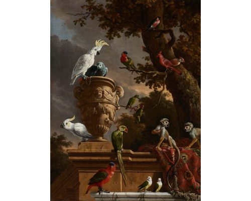 Fotobehang met een levendige verzameling exotische dieren en vogels, waaronder doodshoofdaapjes, kaketoes, een roodstaartpapegaai en een vrouwenlori, geïnspireerd op het schilderij De Menagerie van Melchior d’Hondecoeter.