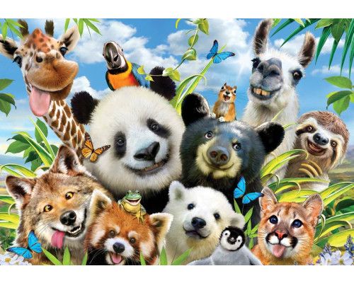 Dierentuin dieren en dolle beestenboel, fotobehang met een vrolijke en speelse sfeer.