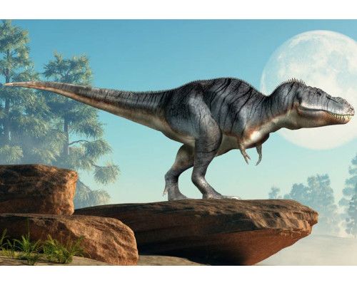 Een dinosaurus die op een rots staat, terwijl het omliggende landschap een groots prehistorisch tafereel biedt op dit fotobehang.