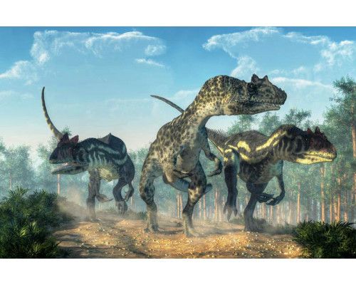 Dinosaurussen bewegen zich door het bos, terwijl bomen en planten hun weg omlijnen in dit fotobehang.