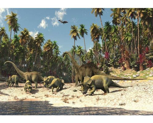 Voetbal fotobehang voor tieners en kinderen, sportief en dynamisch.