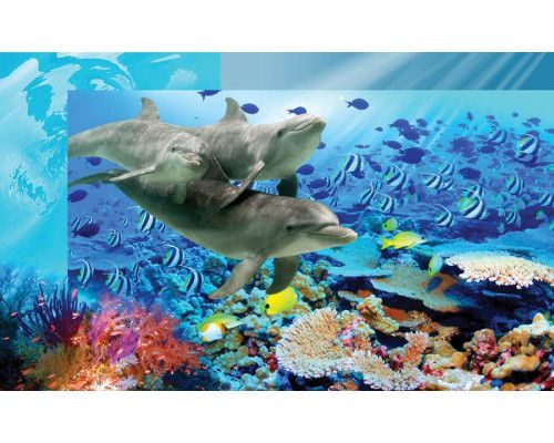 Dolfijnen in de kinderkamer, een vrolijk fotobehang met vissen en zeeleven, ideaal voor een aquariumthema.