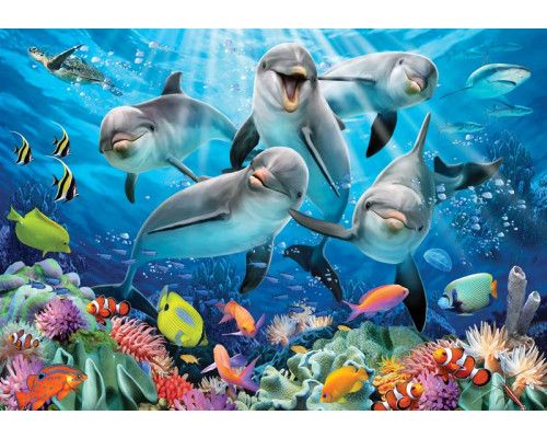 Dolfijnen onder water, aquarium fotobehang met een vrolijke en levendige sfeer voor kinderkamers.