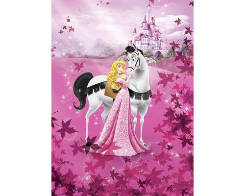 Disney Doornroosje fotobehang met prinses Aurora in haar prachtige jurk, perfect voor een meisjeskamer.