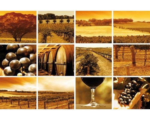 Fotobehang met wijngaarden en druivenvelden, gecombineerd met glazen wijn en Franse landschappen.