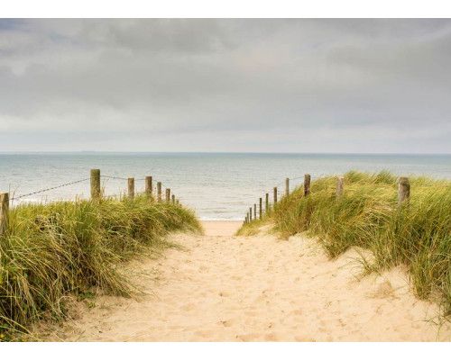 Fotobehang Duinen bij de Noordzee met een idyllisch uitzicht op glooiende zandduinen en wuivend helmgras onder een heldere blauwe lucht.
