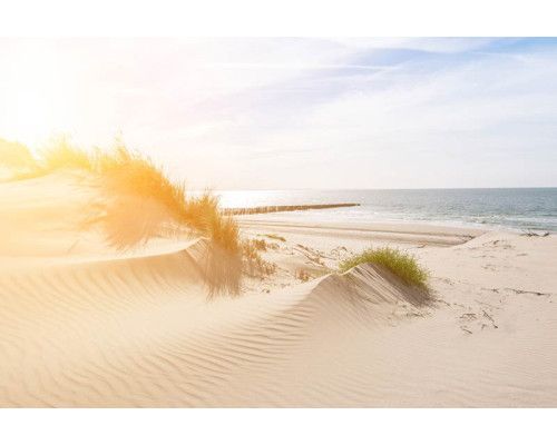 Fotobehang van duinen die zachtjes naar het strand leiden, met een helderblauwe lucht en kalme zee.