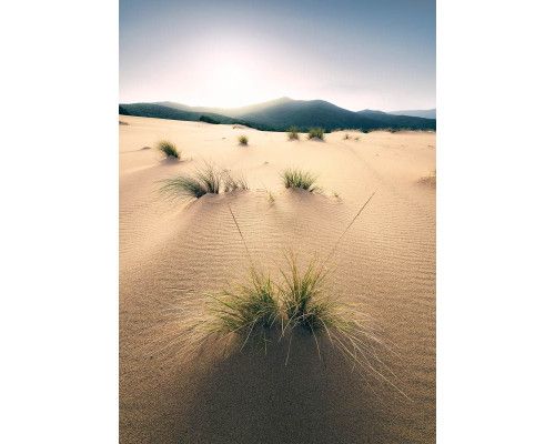 Duinen fotobehang, met zandheuvels die zich uitstrekken over het landschap.