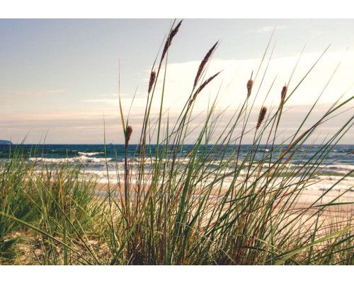 Fotobehang van een duinlandschap met gras en zee, weergegeven op vliesbehang.