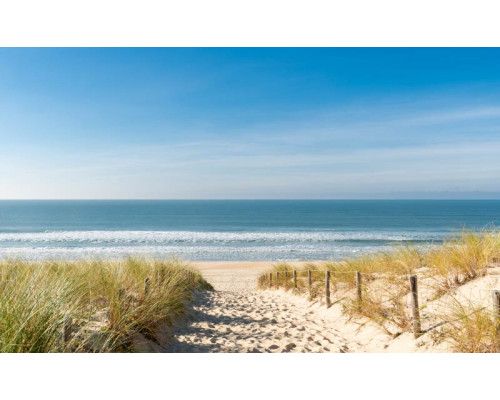 Fotobehang van een duinpad dat naar de zee leidt, met duinen en een helderblauwe lucht op de achtergrond.