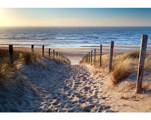 Fotobehang Strand met Duinen en Zee met uitzicht over zand, helmgras en glinsterende golven.
