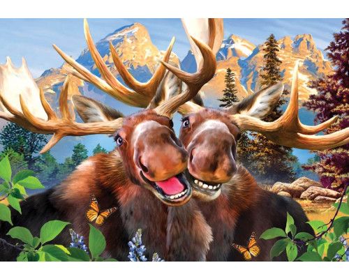 Elanden in een dolle beestenboel, fotobehang met vrolijke dieren voor kinderen en speelkamers.