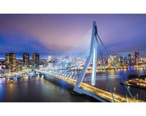 Erasmusbrug in Rotterdam met een skyline van de stad op dit fotobehang, met een moderne en stedelijke uitstraling.