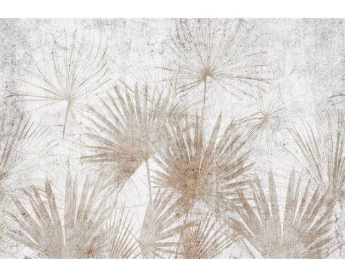 Fotobehang van exotische planten in beton, met een industriële en moderne uitstraling.