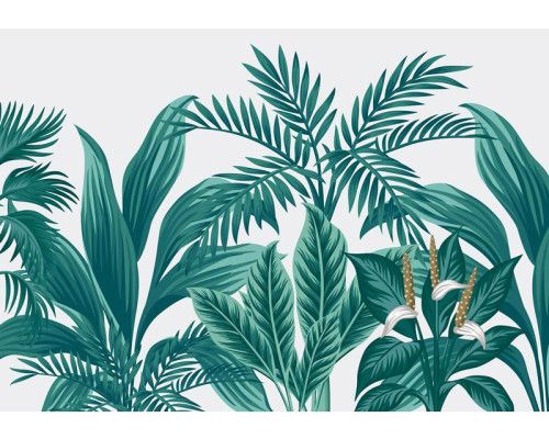 Exotische planten in een tropische jungle setting, fotobehang dat de natuur tot leven brengt met frisse groentinten.