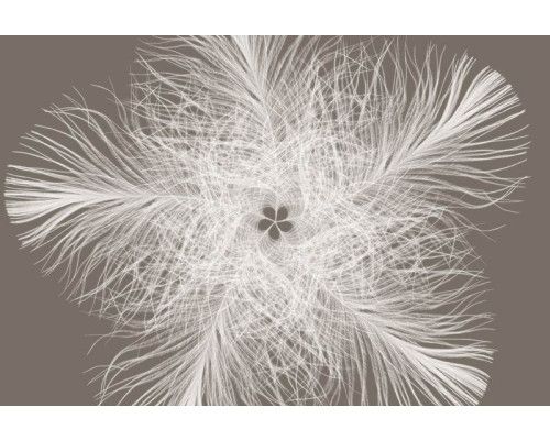 Federster abstract fotobehang, met een modern kunstwerk dat elke ruimte een creatieve uitstraling geeft.