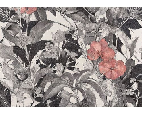 Fotobehang met fijne botanische kunst en roze bloemen op zwart-witte achtergrond.