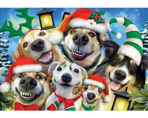 Funny honden en kerstmis, dolle beestenboel fotobehang voor een vrolijke en feestelijke sfeer.