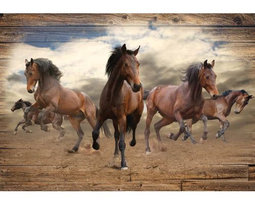 Galopperende paarden, weergegeven op een houten achtergrond in een dynamisch fotobehang.