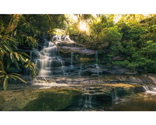 Een gouden waterval omgeven door weelderige jungle, vastgelegd in dit exotische fotobehang.