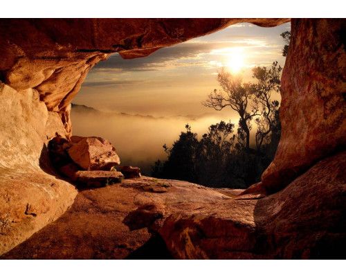 Uitzicht op een mistig bos vanuit een grot, met 3D-effecten voor diepte en sfeer.