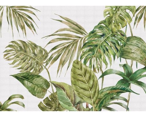 Een fotobehang met grote groene bladeren, waarbij weelderige tropische bladeren in diepe groentinten een levendige en natuurlijke uitstraling geven.