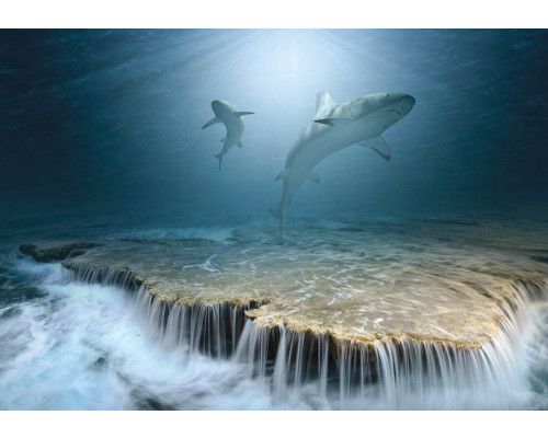 Haaien zwemmen rond een waterval in een levendig oceaanlandschap, weergegeven op dit dramatische fotobehang.