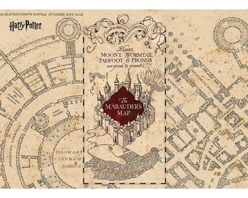 Een fotobehang met Harry Potter Marauder’s Map - Sluipwegwijzer, waarop de gedetailleerde plattegrond van Zweinstein met magische paden en verborgen doorgangen is afgebeeld.