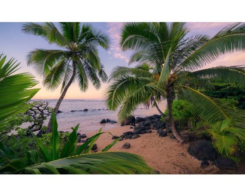 Een tropisch tafereel met palmbomen, strand en zee, perfect weergegeven in het Hawaiian dreams fotobehang voor een ontspannende sfeer.